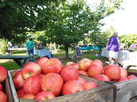 Johnson Orchards Yakima Wa A State Known For Apples This Place Is A Favorite It Was