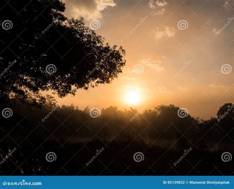 Misty Morning Sunrise In Forest Stock Photo Image Of Outdoor Rock