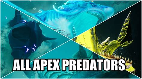 Maneater Truth Quest Dlc All Apex Predator Boss Fights Youtube