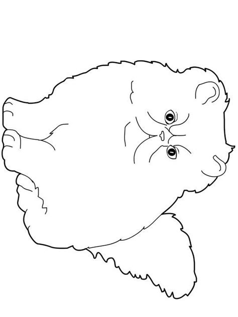 You may use this picture for backgrounds on laptop or computer with high quality resolution. cute coloring pages of baby chubby cat clipart 20 free ...