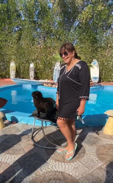 شاهد الان قصة عشق بدون اعلانات من هنا إضغط هنا للإشتراك. هالة صدقي تلعب مع كلب البحر في أحدث ظهور بفستان قصير.. صور ...