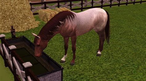 The Sims 3 Pets Strawberry Roan Horse By Scarlet Theehedgehog On