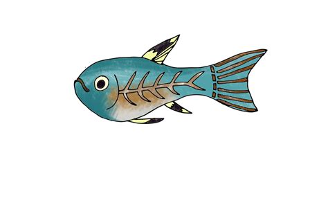 X Ray Fish Png By Isaachelton On Deviantart
