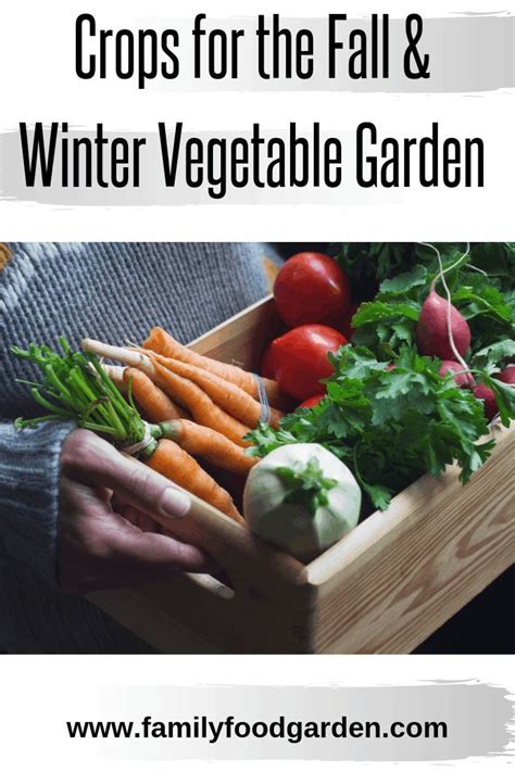 Cold Hardy Crops For The Fall And Winter Vegetable Garden Garden Layout