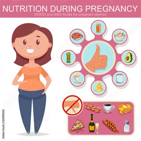 Nutrition For Pregnant Women Illustration Vector Cartoon Infographics