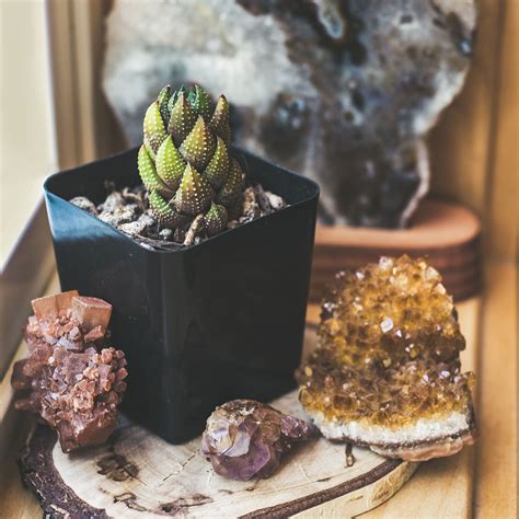 Your sketch can be a simple plan or a larger garden design that you'll. Succulent Studios Blog | Best Succulent Care Tips and DIY