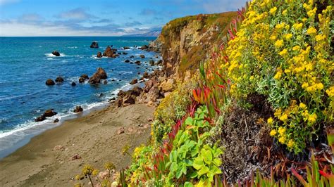 Beautiful Vegetation In Coastal Cliff Sea 2560x1440 Hd