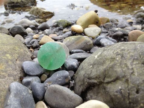 One Of My Most Exciting Finds I Came Across This Large Green Beach