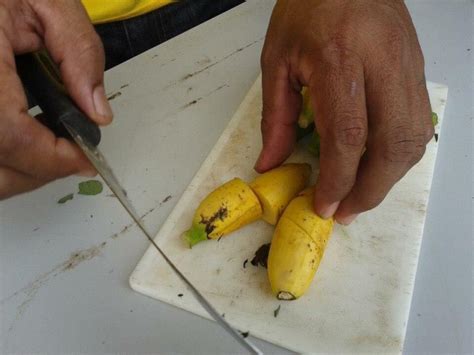 Jul 12, 2019 · pokok hiasan daun dan bunga yang bersaiz kecil juga boleh ditanam secara hidroponik. Ini Cara Paling Mudah Hasilkan Baja Organik Penggalak Buah ...