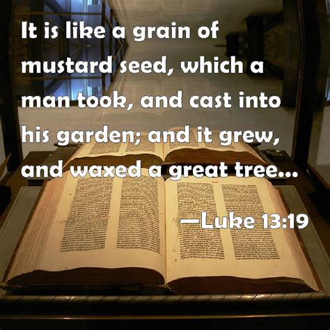 Luke 1319 It Is Like A Grain Of Mustard Seed Which A Man Took And