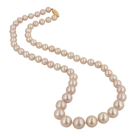 Pearls Png Image With Transparent Background Free Png Images