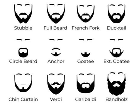 Beard Vector Art Icons And Graphics For Free Download