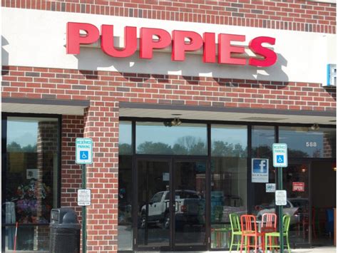Brick Ordinance Could Bar Puppy Sales From Existing, Controversial Store | Brick, NJ Shorebeat