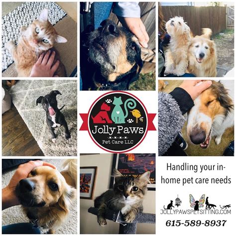 Find a job that fits what you're looking for. Jolly Paws Pet Care - Pet Sitter, Cat Sitter | Jolly Paws ...