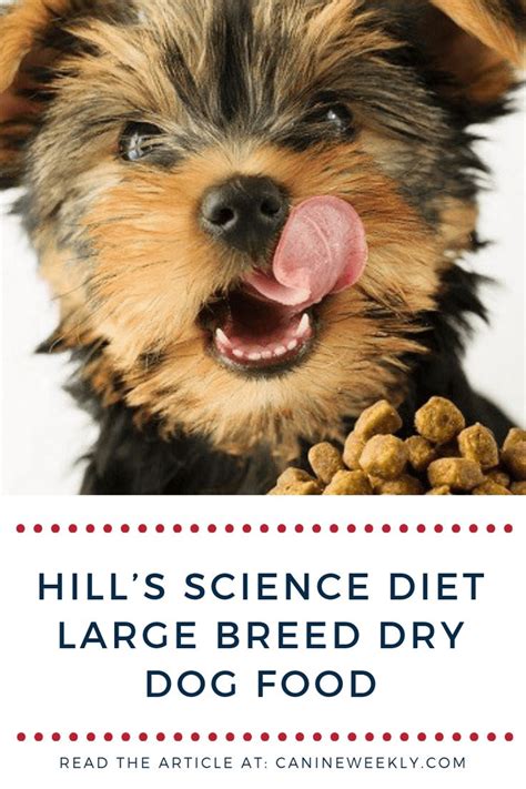 One of the prominent and recurring problems in dogs is stomach upsets. Hill's Science Diet Large Breed Dry Dog Food Reviews 2019 ...