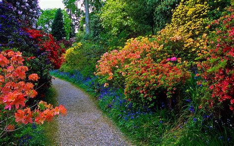 Download Colorful Flower Plant Path Man Made Garden Hd Wallpaper