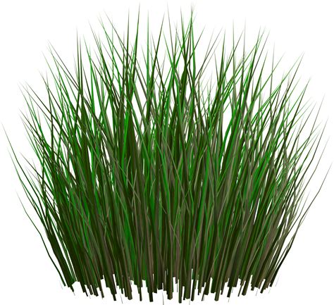Grass Png Grass Png Images Oxilo