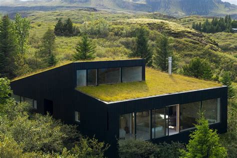 Modern Green Roof House