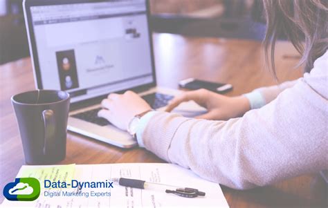 Understand Your Audience For More Effective Marketing Data Dynamix Inc