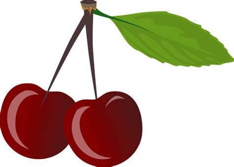 Two Stemmed Cherries Clipart Free Download Transparent Png Creazilla