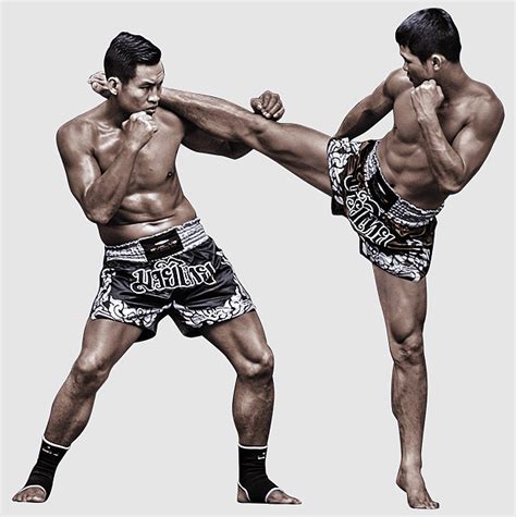 Evolve Mma Brazilian Jiu Jitsu Sanshou Striking Combat Sports