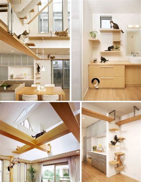 Asahi Kaseis Plus Nyan The Most Feline Friendly House Cat House Diy