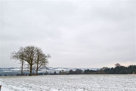 Surely Thats It For Snow Kent Walks Near London