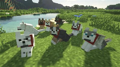 Top 3 Uses For A Pet Dog In Minecraft Firstsportz