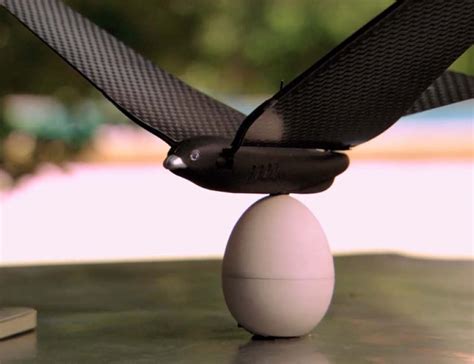bionic bird smartphone controlled robotic bird gadget flow