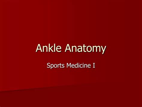 Ppt Ankle Anatomy Powerpoint Presentation Free Download Id9515161