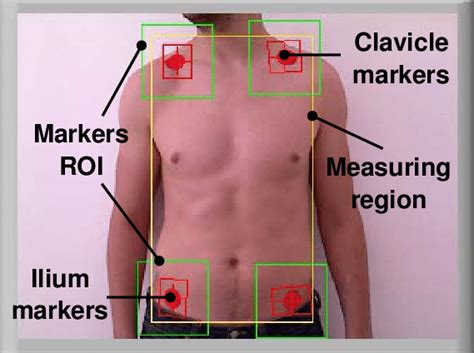 It provides protection to vital organs (eg, heart and major vessels, lungs, liver) and provides stability for movement of the shoulder girdles and upper arms. Diagram Of Chest Area - Heart Anatomy Anatomy And Physiology Ii / I have upper chest pain below ...