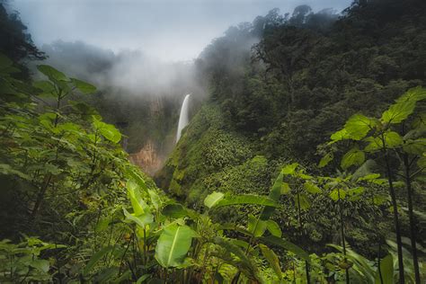 Photo Tip Of The Week How To Shoot Beautiful Rainforest Landscapes
