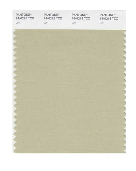 Pantone Smart Color Swatch Card 14 0216 Tcx Lint Columbia Omni Studio