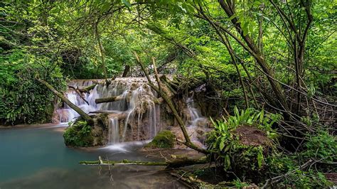 1080p Free Download Waterfalls Stream Green Trees Bushes Algae