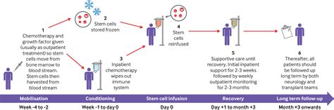 Is Stem Cell Transplantation Safe And Effective In Multiple Sclerosis