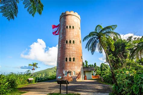 El Yunque National Forest In Puerto Rico Explore A Lush Tropical