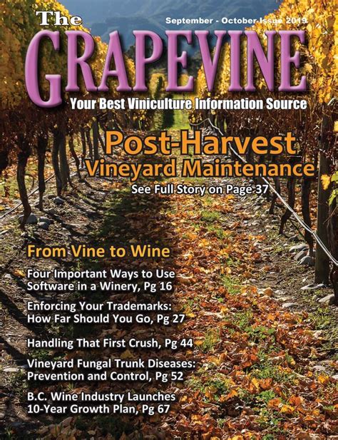 Home The Grapevine Magazine