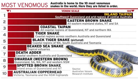 Most Venomous Snakes In Australia Female Villains Best Marvel