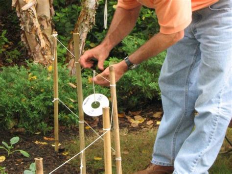 Maybe you would like to learn more about one of these? How to Build a Simple Fence Around a Vegetable Garden ...