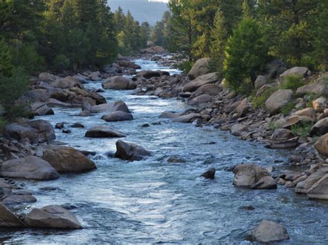 The Arkansas River: Where the Brown Trout Reigns