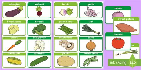 👉 Vegetable Words Flashcards Vegetable Flashcards