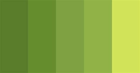 Nature Natural Color Scheme Green