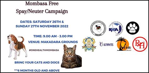 Free Spay And Neuter Campaign Is Happening In Mombasa Hands Magazine Kenya