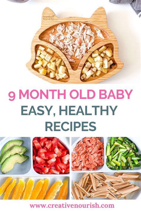 9 -12 month old recipes Archives | Easy baby food recipes, Baby food