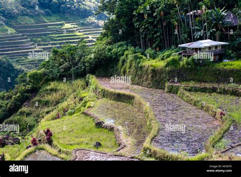 Batad Rice Terraces Banaue Ifugao Philippines Stock Photo Alamy