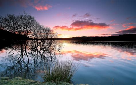 Wallpaper Trees Lake Water Reflection Sunset Twilight 1920x1200 Hd