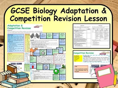 Ks4 Gcse Biology Adaptation And Competition Revision Lesson Gcse Science