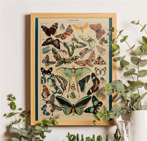 28 Unique Ts For Butterfly Lovers Birds And Blooms