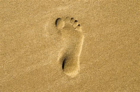 Footprint In Sand Free Stock Photo Public Domain Pictures