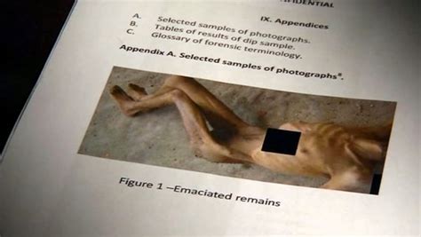 report reveals syrian military photos of torture killings the new york times